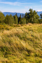 Panoramic view of grassy Leskowiec peak in Little Beskids with Babia Gora peak in southern Beskidy mountains near Andrychów in Lesser Poland © Art Media Factory