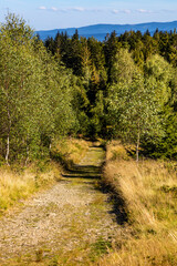 Panoramic view of grassy Leskowiec peak in Little Beskids with Babia Gora peak in southern Beskidy mountains near Andrychów in Lesser Poland © Art Media Factory