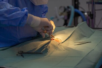 Surgeon performing a delicate operation