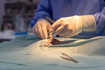 Surgeon performing a delicate operation