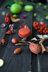 Colored macarons on a dark background with plant leaves and flowers