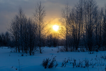 sunset behind the trees in winter