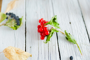 Ripe viburnum berries on a white old wooden background