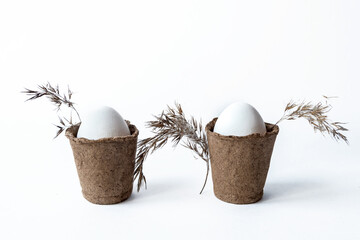 Ecological concept with Easter white eggs in peat pots on a white background.
