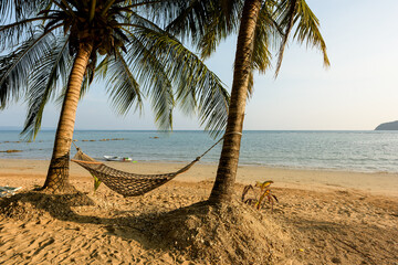 Hammock between two coconut trees on a tropical island with beautiful beach