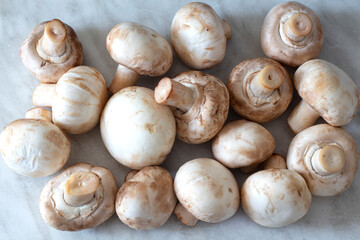 Fototapeta na wymiar White champignons lie on the kitchen table