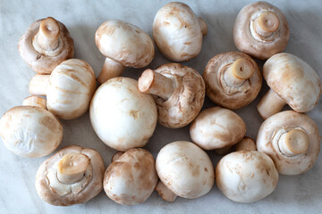 White champignons lie on the kitchen table