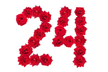 Numeral 24 made of red roses on a white isolated background. Element for decoration. Twenty four. Red roses.