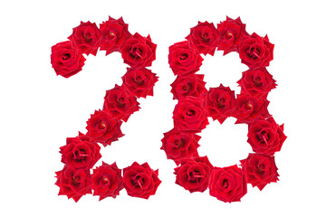Numeral 28 made of red roses on a white isolated background. Element for decoration. Twenty eight. Red roses.