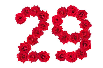 Numeral 29 made of red roses on a white isolated background. Element for decoration. Twenty nine. Red roses.