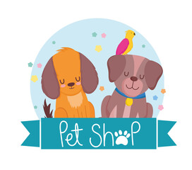 pet shop cute dogs with parrot animals cartoon