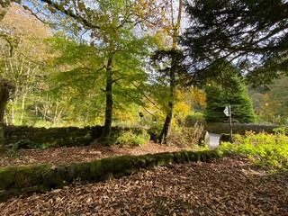 Entrance to woodland, from Midgehole Road, with old trees, and fallen leaves, late autumn near, Hebden Bridge, Yorkshire, UK