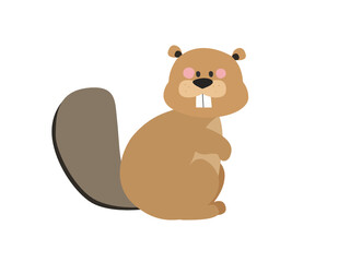 beaver