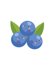 blueberries