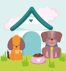 cute dogs sitting with house and food in the grass