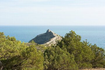 Summer Crimean landscape, juniper grove on a sunny day, Golitsyn Trail, Crimea.