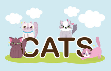 cats lettring, cute animals pet cartoon
