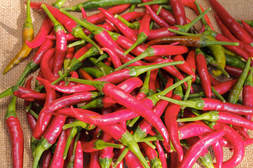 Chili pepper. Lat - Capsicum annuum. Pepper pods lies on burlap.  Vegetables background texture. Advertisement backdrop.