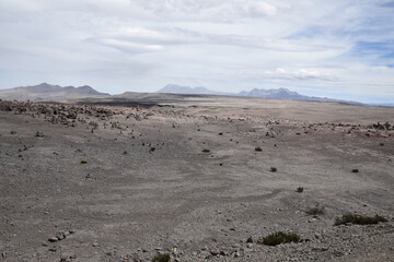 Fototapeta na wymiar Désert de l'Altiplano andin, Pérou