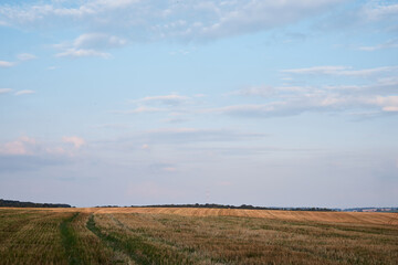 Countryside farming development. Natural green and yellow field landscape in summer with blue sky. Agricultural rural background. Ecological food production.