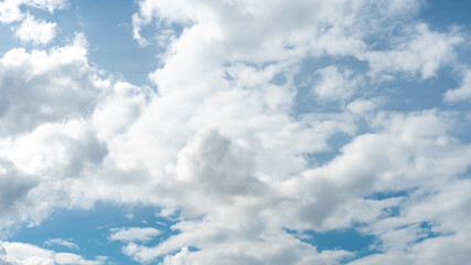 Beautiful fluffy clouds in the evening sky. The sunlight gives a side light on the clouds. Clouds before rain.