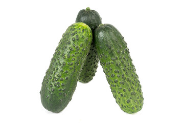 three green fresh cucumbers isolated on white background.
