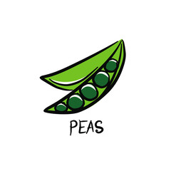 Natural colors. Vegetables, mushrooms, grass and roots. Proper nutrition. Vegan, vegetarian set of icons with vegetables.  Vegetable food. Vector isolated image.