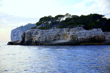 Fractured rock wall of the creek with small beach and maritime pines, Parc National des Calanques, Marseille, France