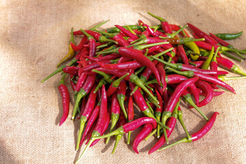Chili pepper. Lat - Capsicum annuum. Pepper pods lies on burlap. Vegetables background texture. Advertisement backdrop.