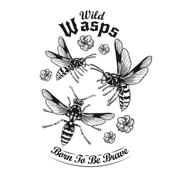 Engraving flying wild wasps tattoo vector illustration. Vintage wasps and flowers. Dangerous insects and fauna concept can be used for retro template, banner or poster