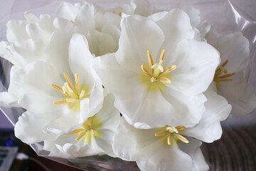 spring bouquet of tulips. beautiful bouquet of tulips and space for text 