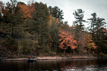 Autumn Trees