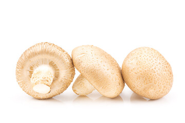 Fresh Shiitake mushrooms