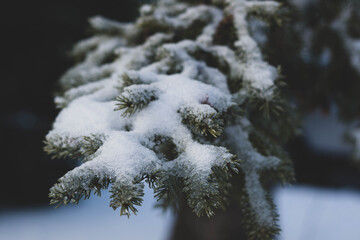 Snow