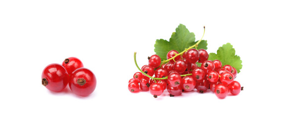 Fresh red currant isolated on white background