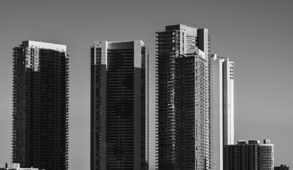 modern city skyline white black shades miami florida 