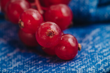 Close-up of delicious fresh redcurrant berries
