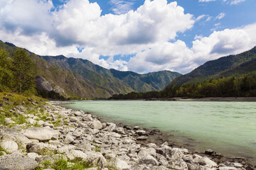 Katun river on a sunny summer day. Altai Republic. Russia
