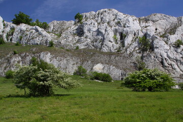 Fototapeta na wymiar Rocks in Pálava Protected Landscape Area, Moravia, Czech Republic 