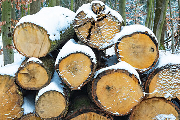 Holz- Charge im winterlichen Wald