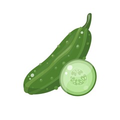 Cucumber vegetable isolated on white background. Cartoon style. Fulll and slice. Vector illustration.