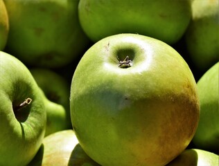 green apples in the market