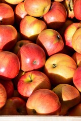 red apples background