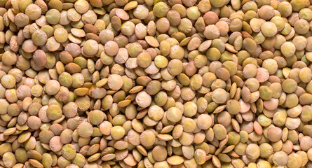 A spread of green lentils as a background