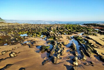 Flysch colonizado