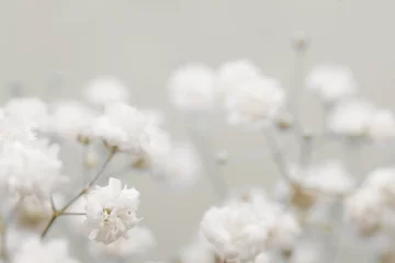 Weicher Fokus. Weiße Blume auf unscharfem beige Hintergrund. © Liliia