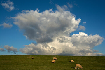 Gro&szlig;e Wolken &uuml;ber dem Deich