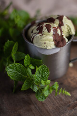 close up selective focus home made mint and chocolate ice cream in tin can