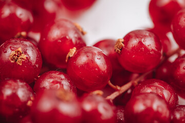 Beautiful macro of a fresh redcurrant berries