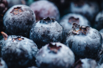 Beautiful macro of a fresh blueberry